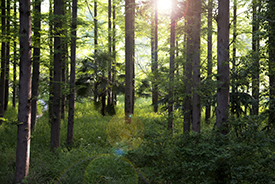 437ccm必赢国际(中国游)官网唯一线路