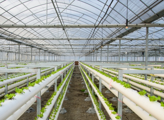 437ccm必赢国际(中国游)官网唯一线路